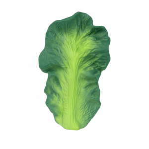 Kendall the Kale Juguete Mordedor bebé